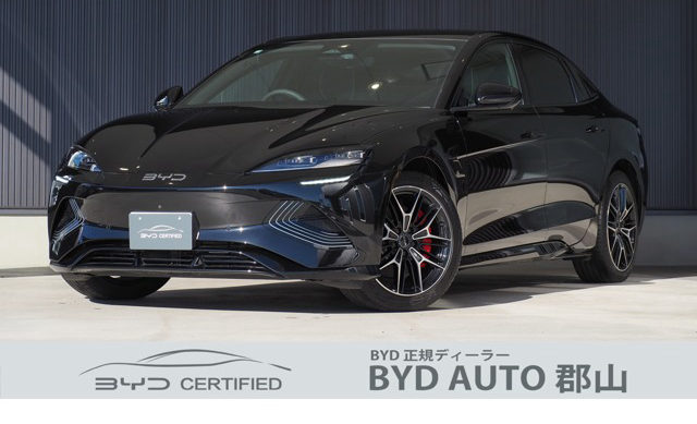 BYD 2025