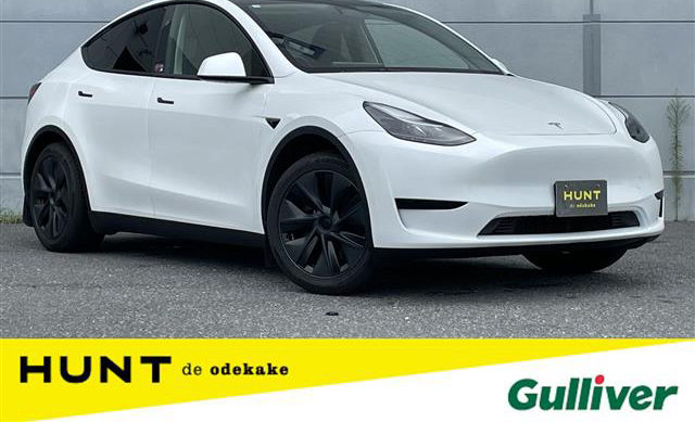 Tesla RWD