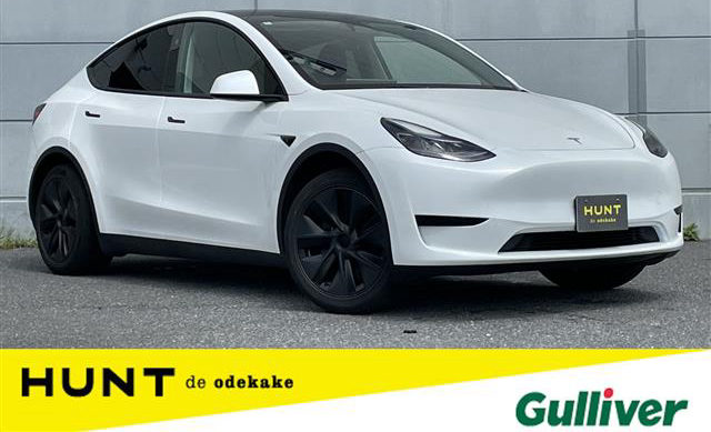 Tesla RWD