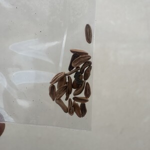 P15 기타 부품