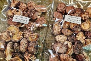 건표고버섯 100g